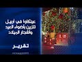 عينكاوا في أربيل تتزين بأضواء العيد وأشجار الميلاد