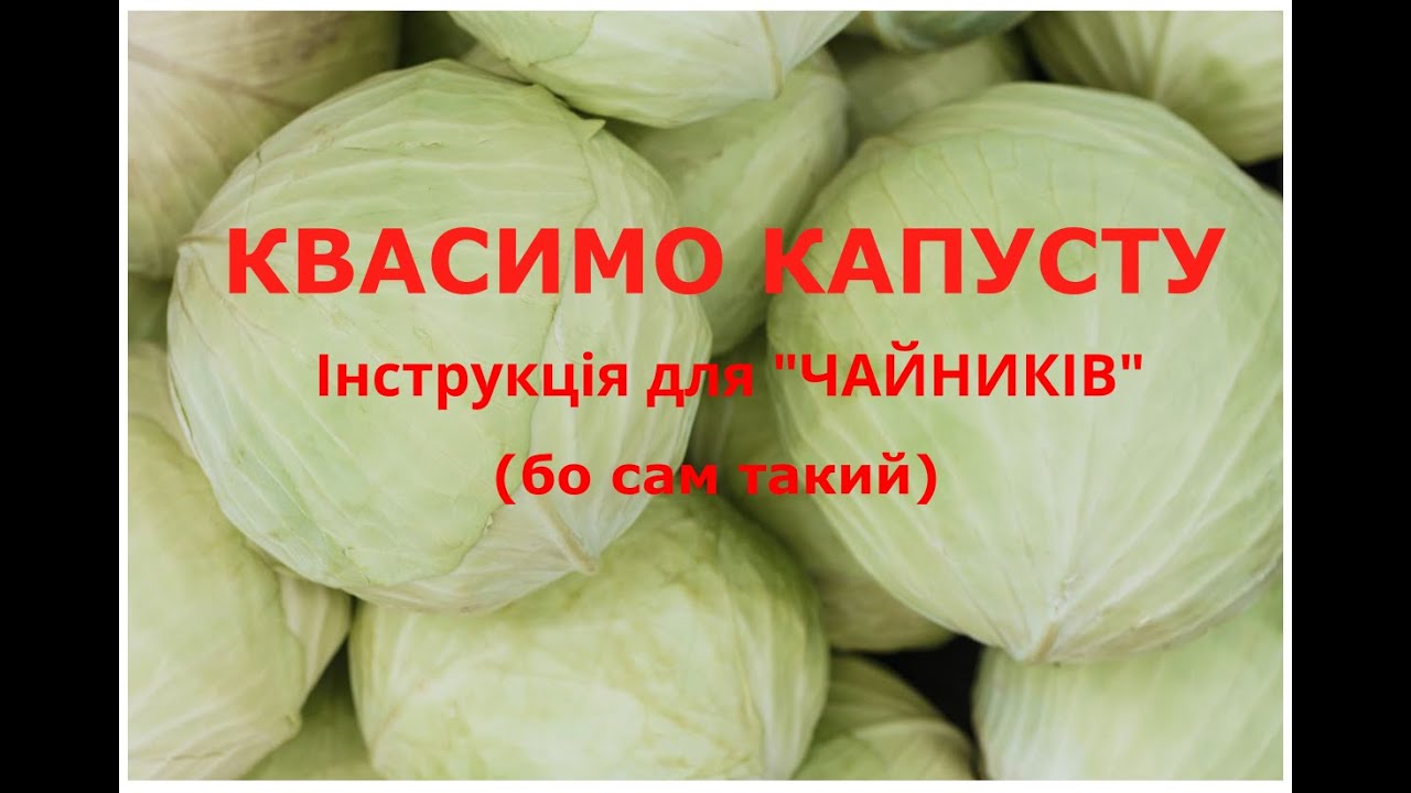 Квасимо капусту — Інструкція для чайників