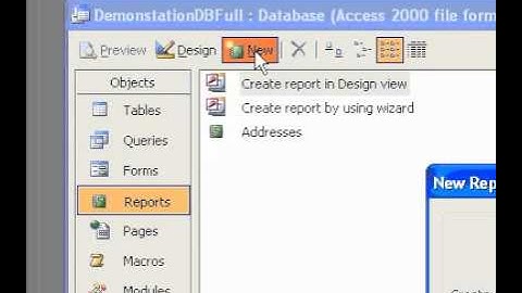 Microsoft Office Access 2003 Create a report using AutoReport