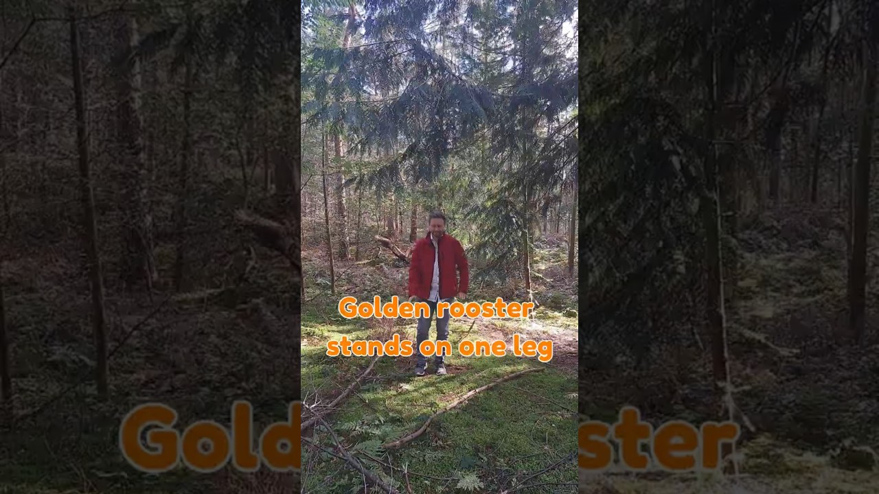 Golden rooster stands on one leg 