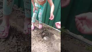 Planting Trees With Polinka