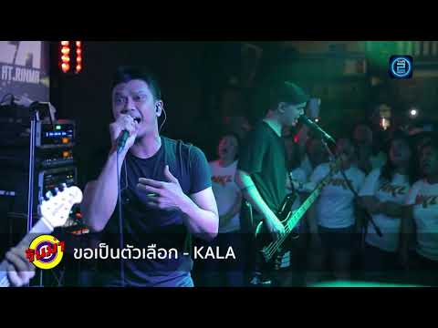 ขอเป็นตัวเลือก - Num KALA (Live In RINMA Petchkasem)