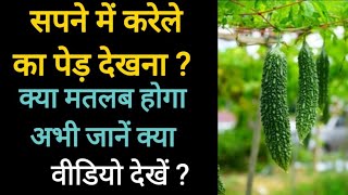 सपने में करेले का पेड़ देखना ? Sapne Me Karele Ka Ped Dekhna. Dreaming of bitter gourd tree.