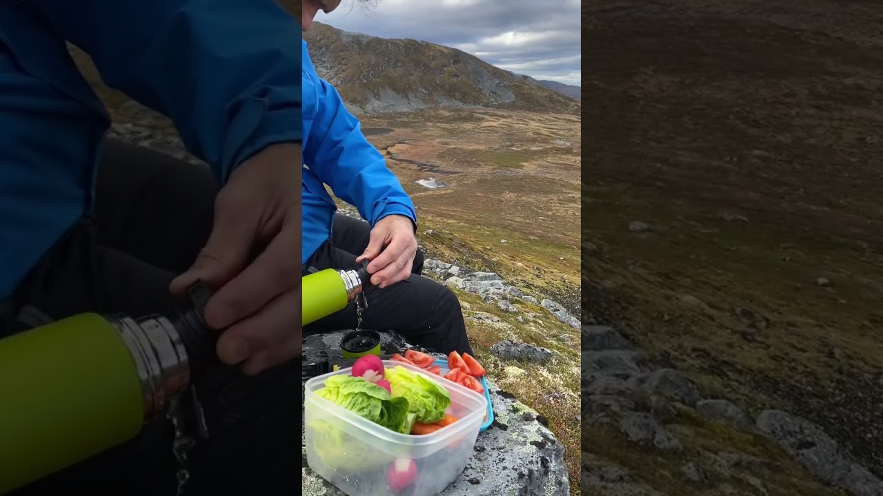 Пикник с видом на фьорд 