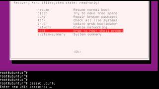 Celebrity Fix Ubuntu "Passwd: Authentication token manipulation error" Wealth
