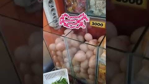 TUGAS INFORMATIKA(membuat video vlog)