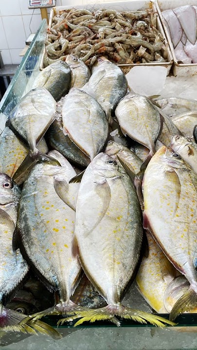 ajman-fish-market-uae-mallu-malayalam-fishing-freshfish-fish