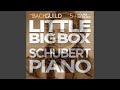 Miniature de la vidéo de la chanson Sonata For Piano No. 19 In C Minor, D. 958: Iii. Menuetto: Allegro - Trio