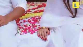 Love Story Hot Romance Video Romantic Love Story Full Video