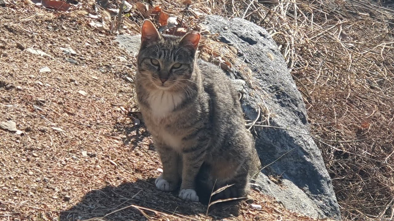 기쁜 소식 때문에 급하게 켭니다