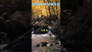 이벤트 배너