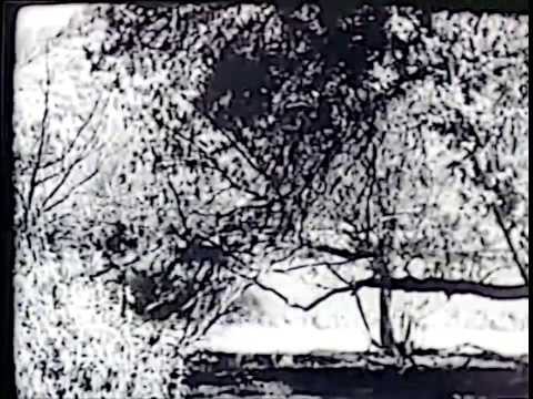 Vignette de la vidéo : Dawn Rider (John Wayne)