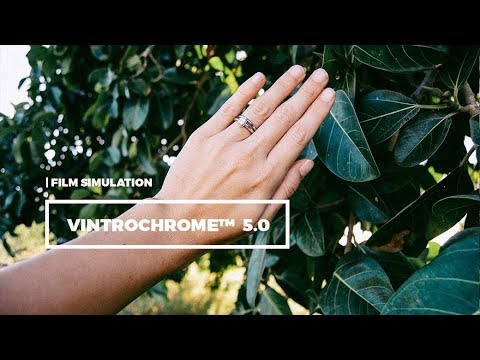 Vintrochrome 5.0 | Film Emulation, an Action Add-On by HQ LIGHTROOM PRESETS (Thumbnail 2 of 4)