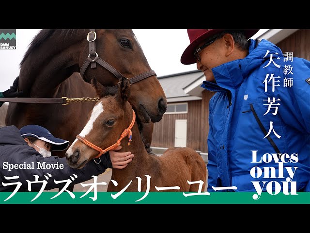 特別公開】ラヴズオンリーユースペシャルムービー - YouTube