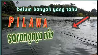 PILAWA LEGEND ‼️belum banyak yang tahu | Borneo fishing | riam kanan