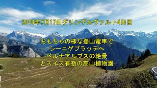 スイス アルプス アイガー クライネシャイデックそしてラウターブルネン経由花の谷ミューレンへスイスハイキング 15 07 28 Switzerland Travel