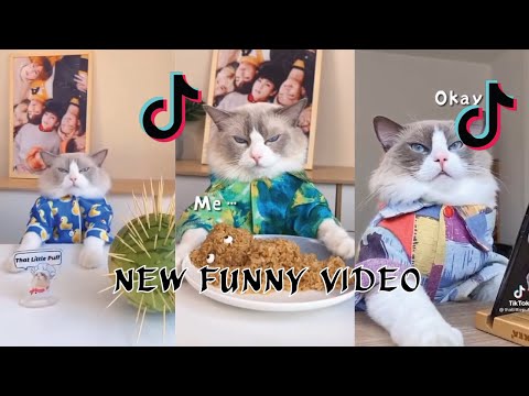That little Puff funny cooking fails - Puff Ruin It - That Little Puff Part 2 #trending #tiktok