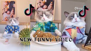 That little Puff funny cooking fails - Puff Ruin It - That Little Puff Part 2 #trending #tiktok