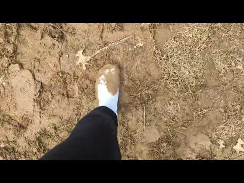 Muddy White Socks