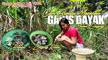 🔴Gadis Dayak Cari Lengkuas dihutan Untuk Masak Daging Rusa|Kehidupan Suku Dayak Pedalaman Kalimantan