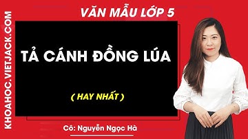 Tả cánh đồng lúa hay nhất - Tập làm văn lớp 5 - Cô Nguyễn Ngọc Hà
