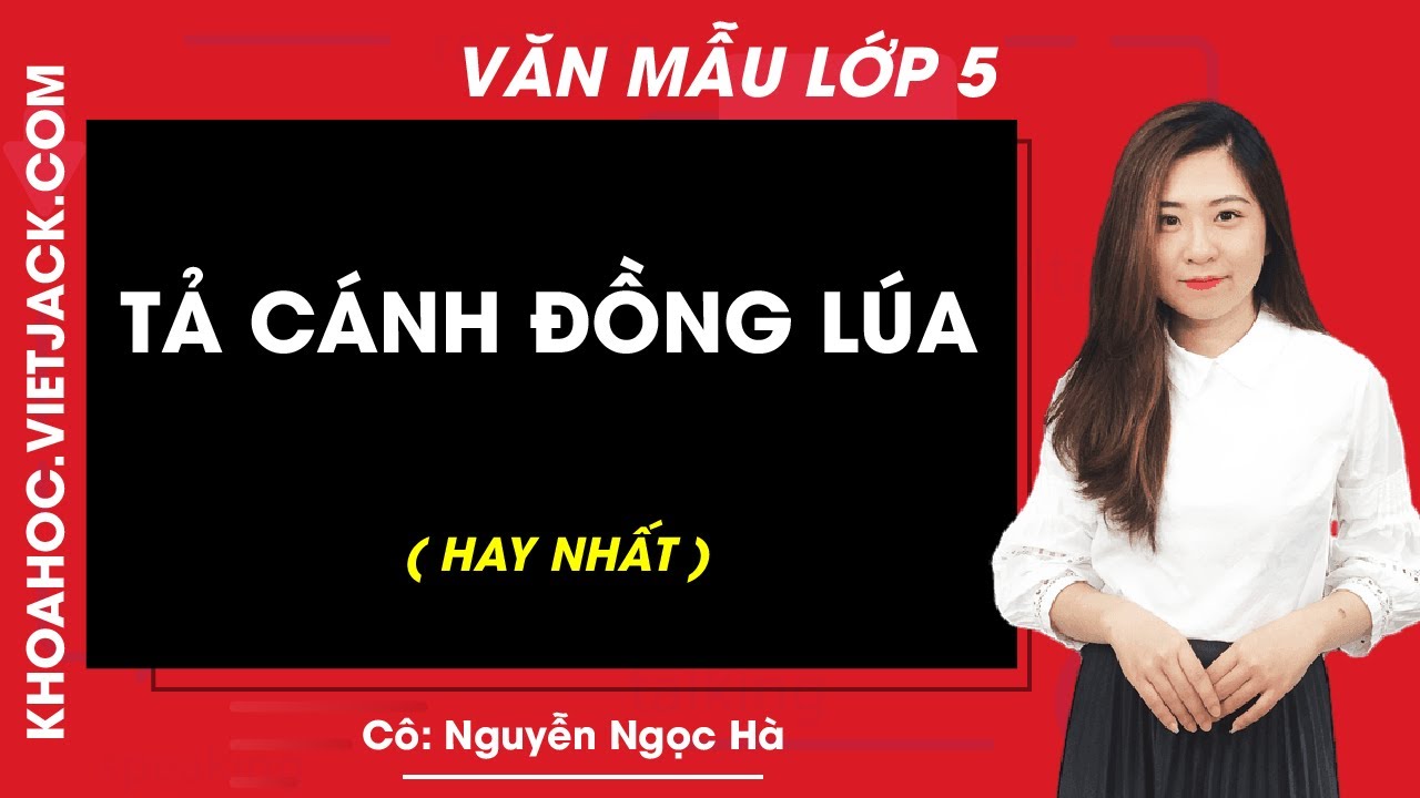 Tả cánh đồng lúa hay nhất - Tập làm văn lớp 5 - Cô Nguyễn Ngọc Hà - YouTube