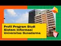Profil program studi sistem informasi