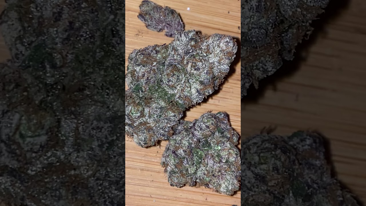 What Real Runtz Looks Like  ! True Runtz Cut ! Cannabis Grow Harvest Flower Soil Grown Cali Bud