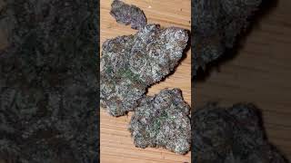 What Real Runtz Looks Like  ! True Runtz Cut ! Cannabis Grow Harvest Flower Soil Grown Cali Bud