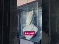 بهش می گن ناپلئون شرق بهش می گن ناپلئون شرق