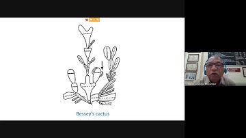 APG system of classification by  Prin. Dr C. V. Murumkar, T. C. College, Barmati