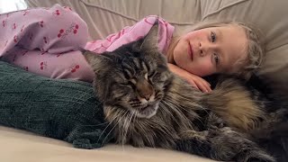 Their Bond Is Precious! Giant Cat Loves Little Girl!! (Cutest Ever!!)