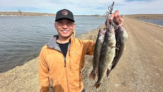 Public Highway Walleye Shore Fishing! (CATCH CLEAN COOK)