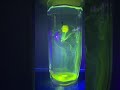 Мини бойлы флюро тонущие на резинке 6х10мм. #shorts