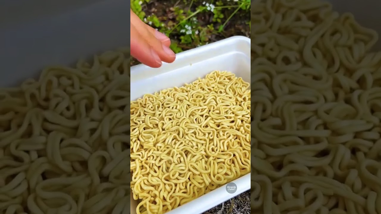 Ultimate Fire Starter Hacks Compilation! 🔥💡 