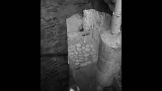 photography by debbie lacey