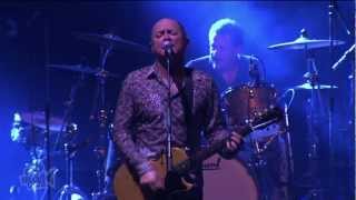 Video thumbnail of "Hoodoo Gurus - I Was A Kamikaze Pilot (Live at Dig It Up! Sydney) | Moshcam"