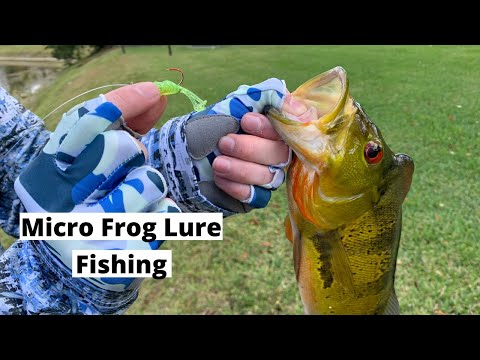 Catching Peacock Bass with a Micro Frog Lure (Less than $1!) 
