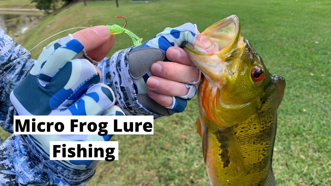 Catching Peacock Bass with a Micro Frog Lure (Less than $1!) 