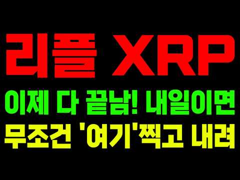 [리플 전망]28일부터 30일까지 모든 발표가 쏠렸습니다... 반드시 확인하세요!(비트코인,시바이누,이더리움,스텔라루멘)