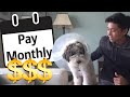 How Much I Spend On My Puppy In 30 Days