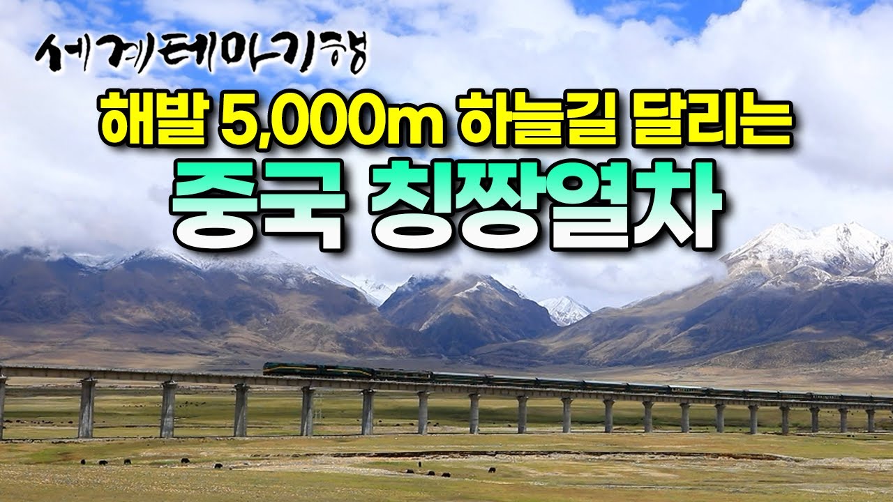 ‘세계에서 가장 높은 기차’ 해발 5,000m 하늘길 달리는 중국 대륙 횡단 열차 | 칭짱열차 타고 중국에서 티베트까지 | 세계테마기행 | #세테깅