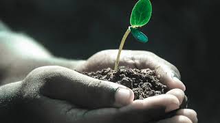 Hymn - Uusl Choir - We Celebrate The Web Of Life