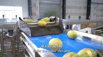 Fruit sorting machine