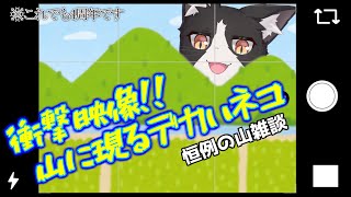 4周年を迎えた謎のネコがなんか話すアレ【4th anniversary 雑談 Vtuber すとれいにゃんこ】