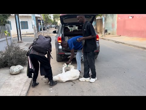 Fallou Vlog day 2