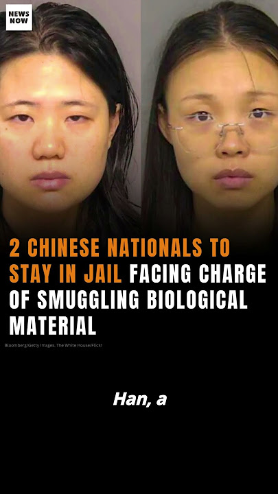 Two Chinese nationals, Yunqing Jian and Chengxuan Han, are facing serious charges of smuggling
