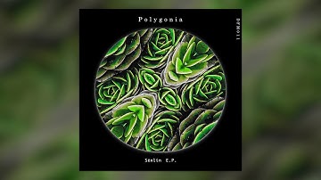 Polygonia - Wisteria [DFM011 / Deflection Music]