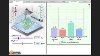 Photosynthesis Lab Gizmo - Activities B and C