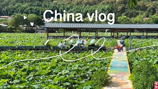 7 days in Guangzhou  🇨🇳 | doing tourist stuffs, chimelong, daily life, cute village, what I eat~